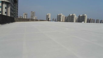 增城钢结构防腐工程施工 好用的屋面防水工程推荐